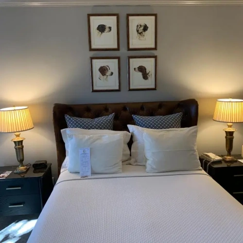 Standard Double room with garden view