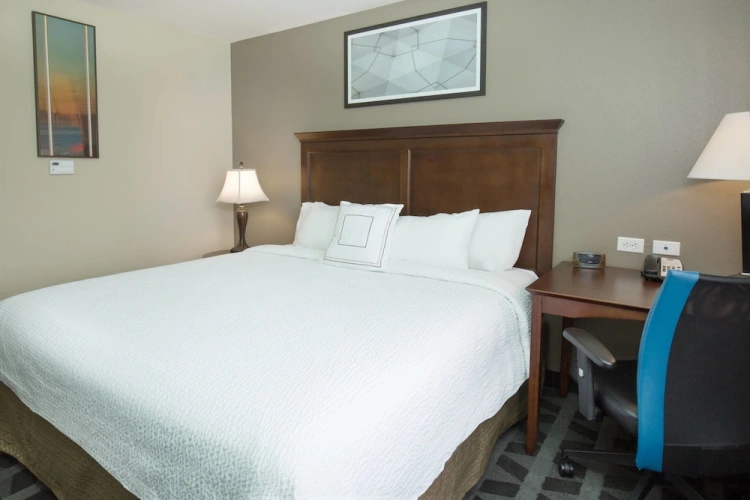 1 Bedroom Suite