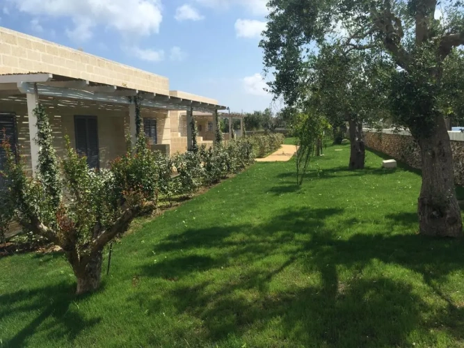 1 Bedroom Standard Apartment