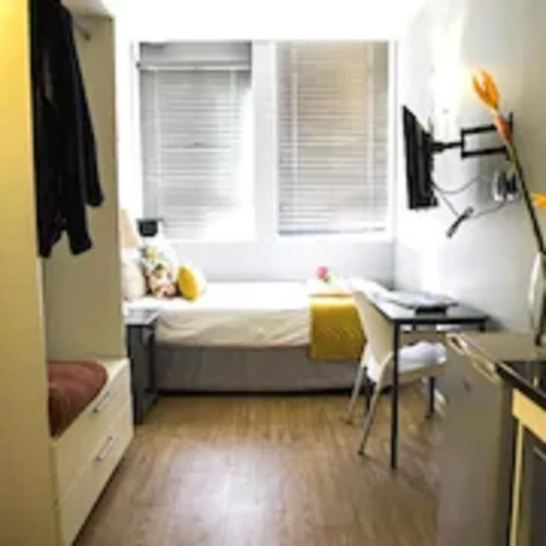 Luxury Single Studio