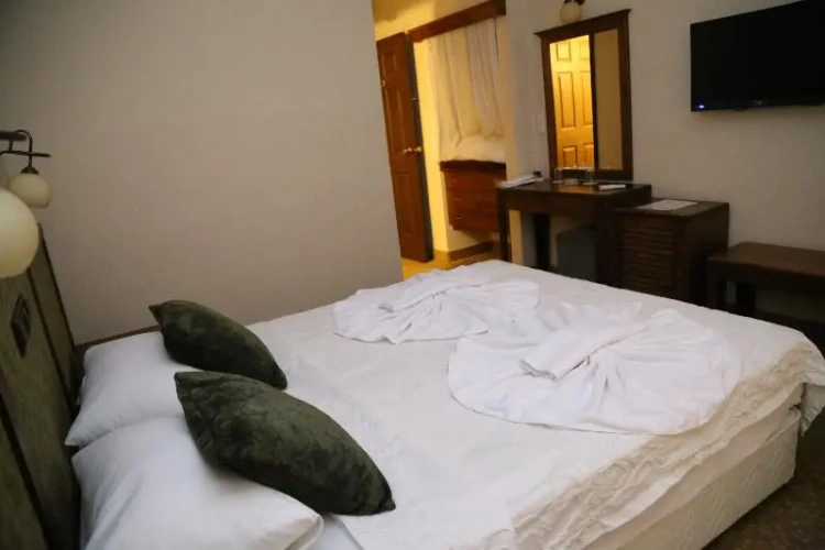 Standard Double room with balcony and with garden view
