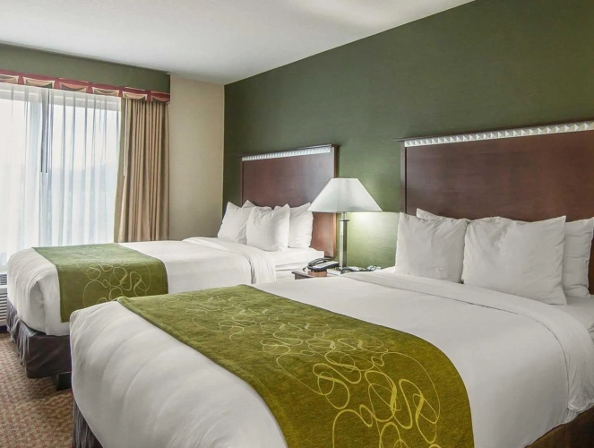 Double Suite