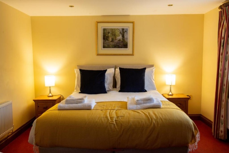 Standard Double Family room