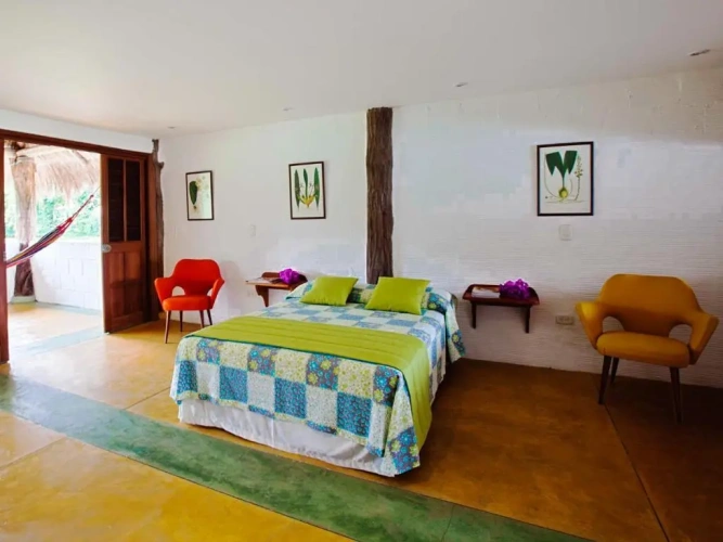 Standard Double Suite