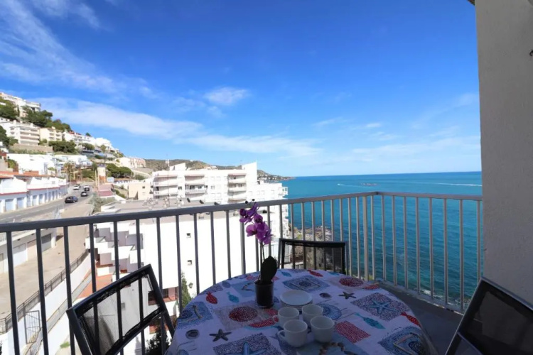 Delfin 9 J Canyelles Roses - Barneda Premium