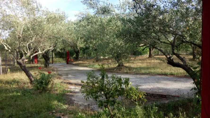 Eva's House