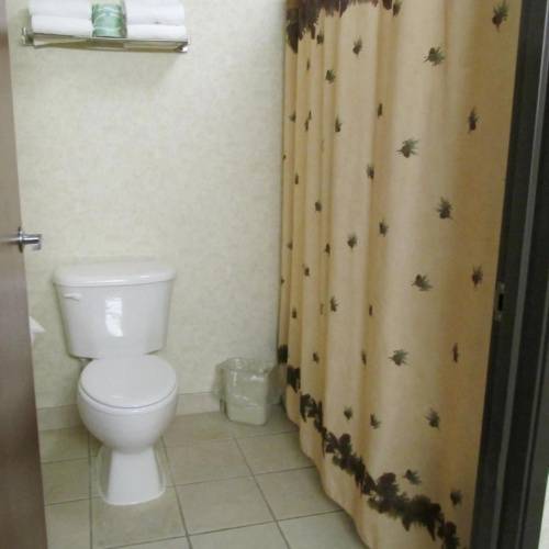 Mitchell Kelly Inn And Suites photo 8