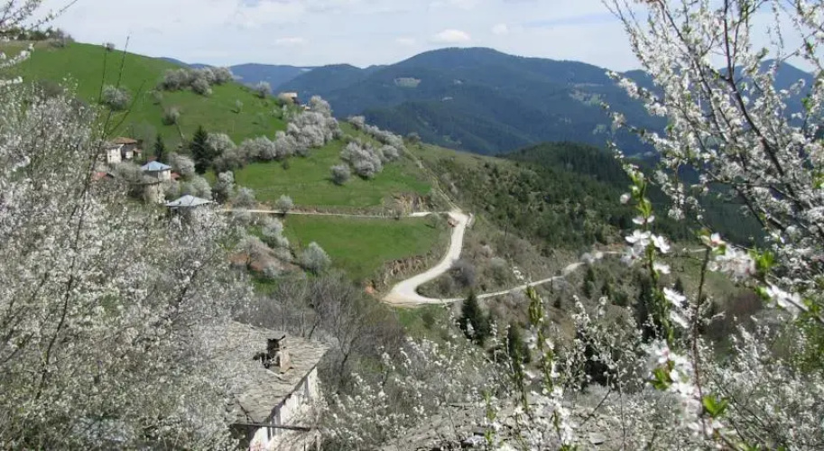 Zornica Guest House