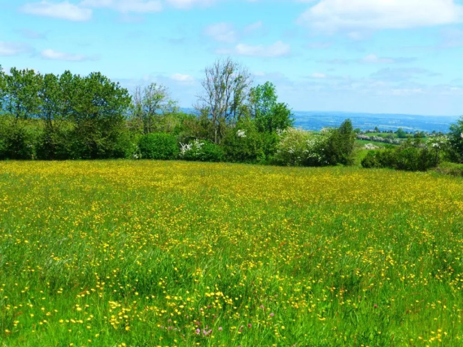 Hay-on-Hye retreat