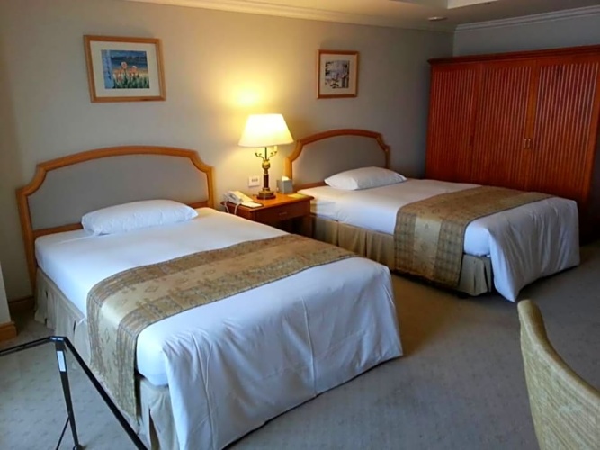 Superior Double room with view