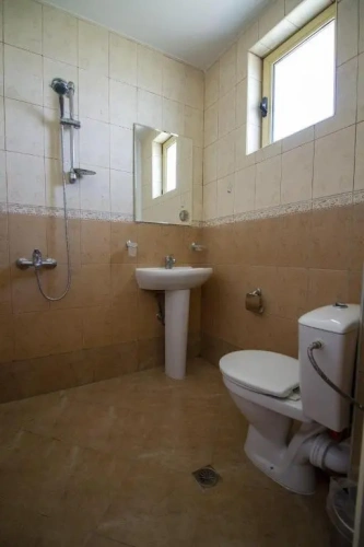 Standard Triple Studio
