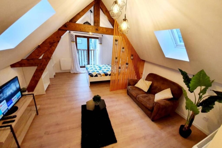 1 Bedroom Apartment