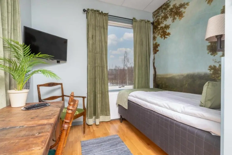 Deluxe Single room