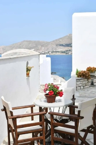 Studio with balcony and with garden view