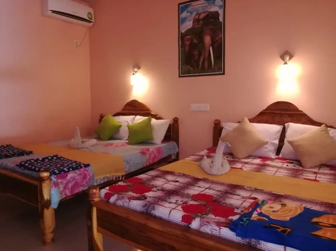 Deluxe Triple room