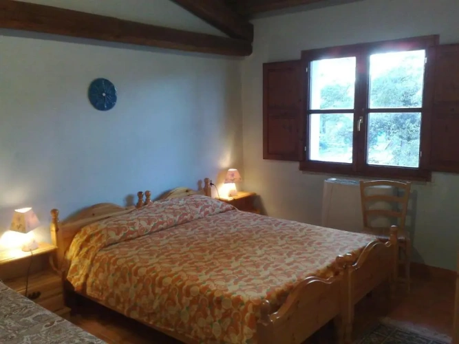 Standard Double room with garden view