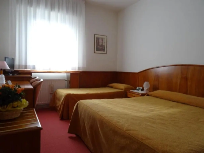 Standard Double room