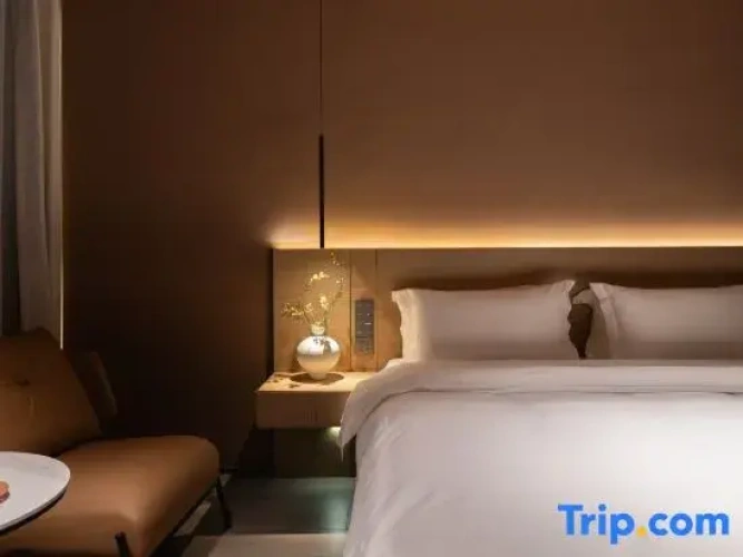 1 Bedroom Suite