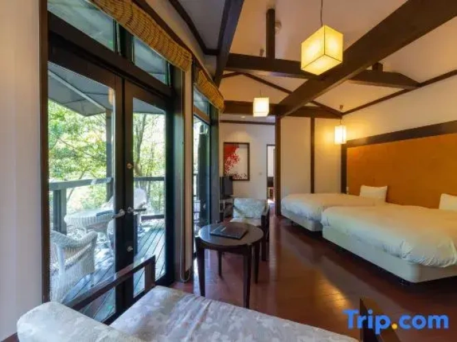 Standard Twin room with view