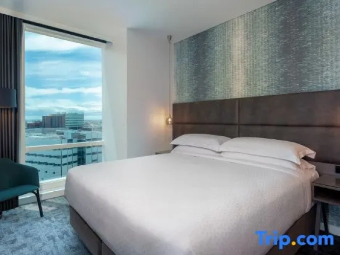 High Floor Double Suite with Skyline View