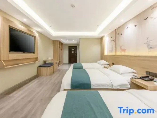 Premium Triple room