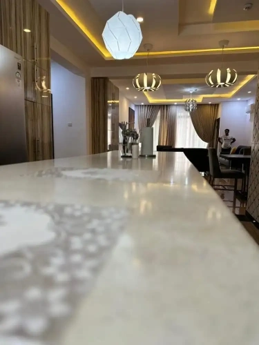 Luxury Apartment