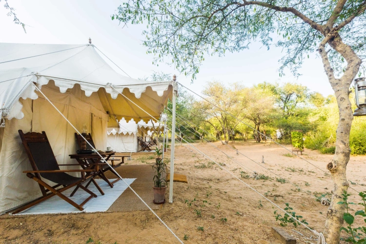 Tent