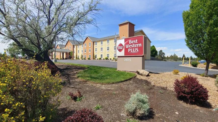 1 Bedroom Double Suite