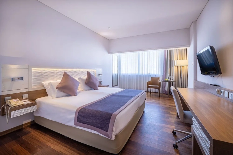 Standard Double room with city view