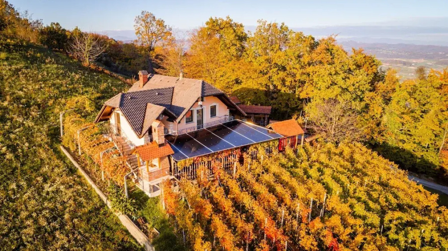 Vineyard Cottage Bregac