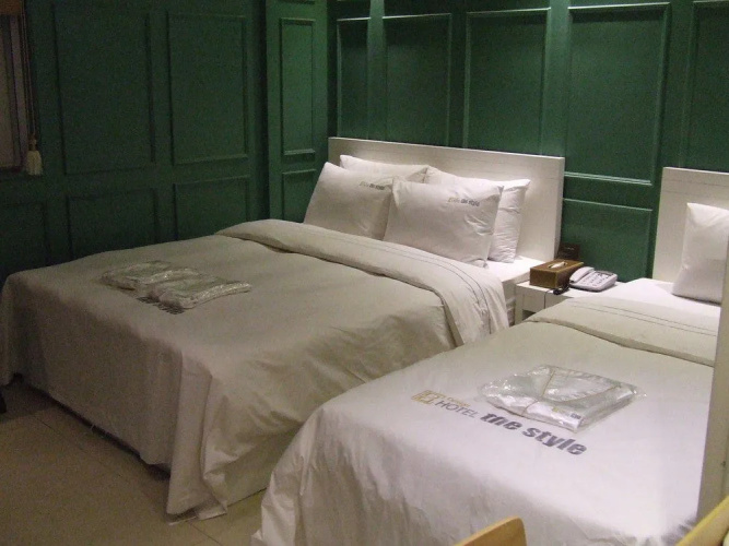 Hotel the Style
