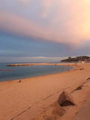 9ariet cabo negro