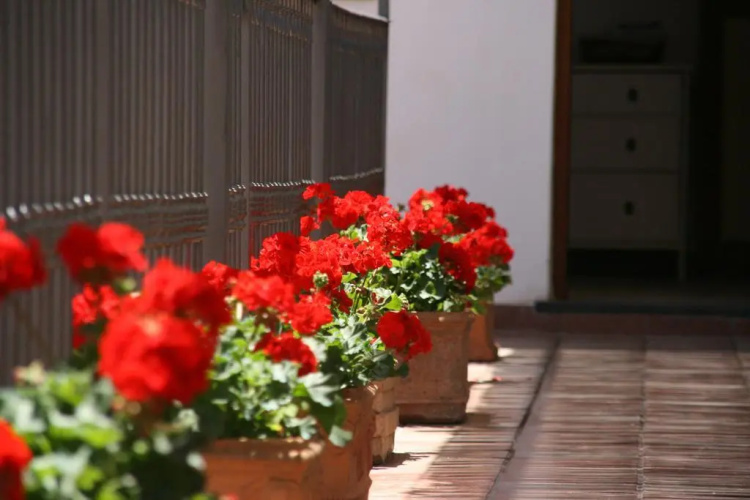 B&B Il Vicolo