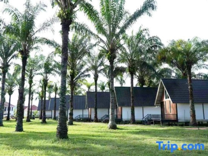 Nature Resort