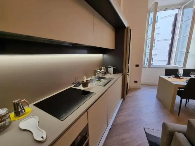 Deluxe Apartment