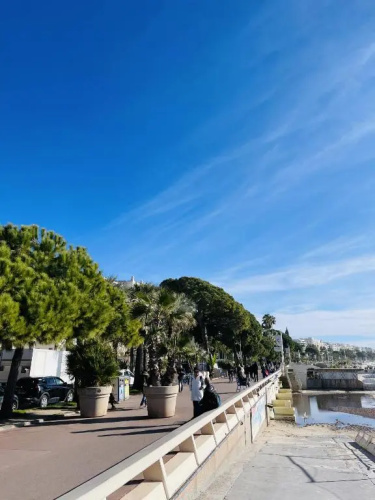 Village Croisette CIL696