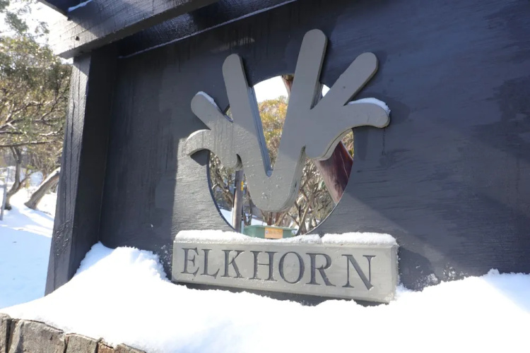 Elkhorn 11