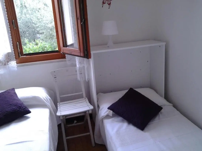 Apartment with garden view