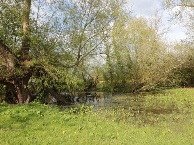 Granary 1