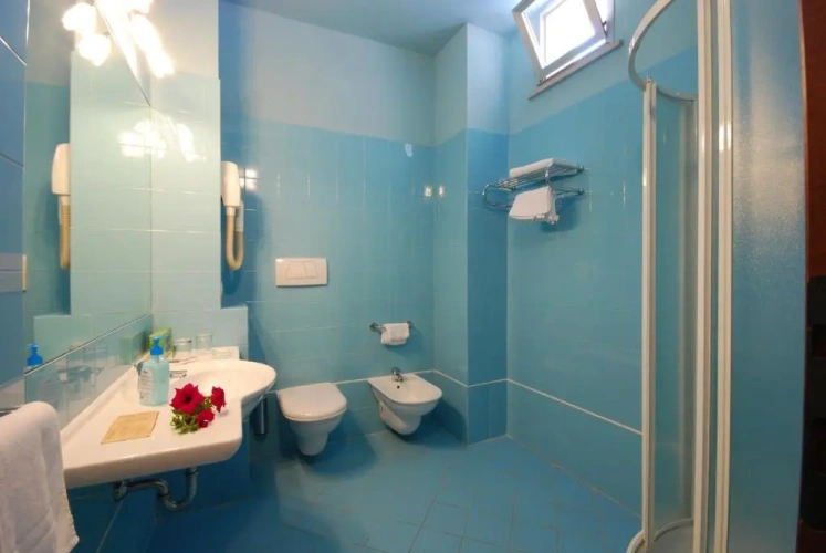 Standard Double room with sea view