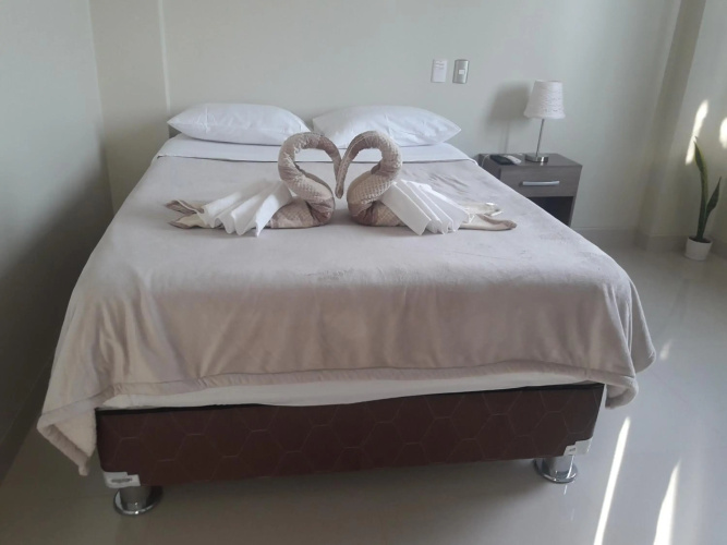 Hostel Willys House