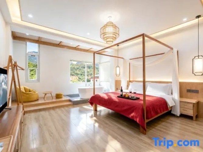 Standard Double room with mountain view