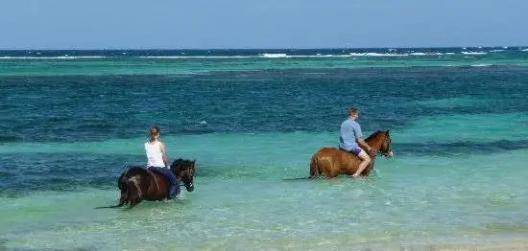 Studio 03 vue mer Orient Bay