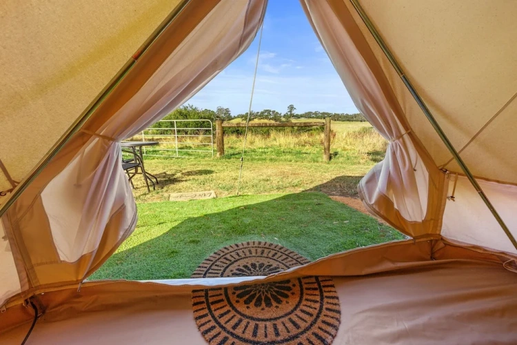 Tent