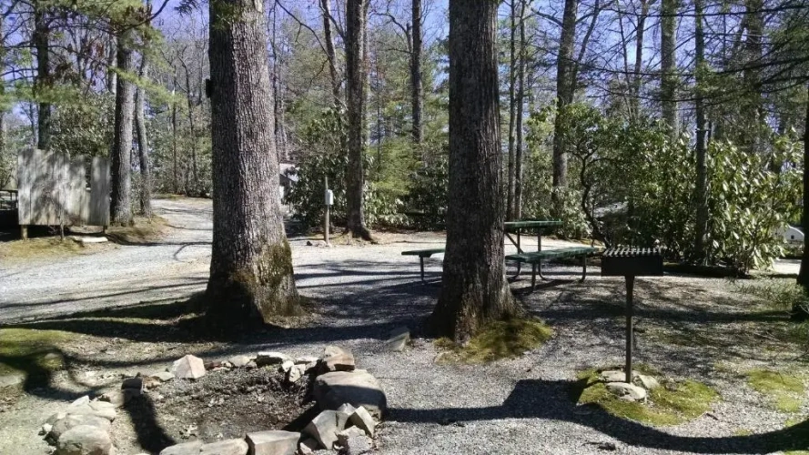 Outside
