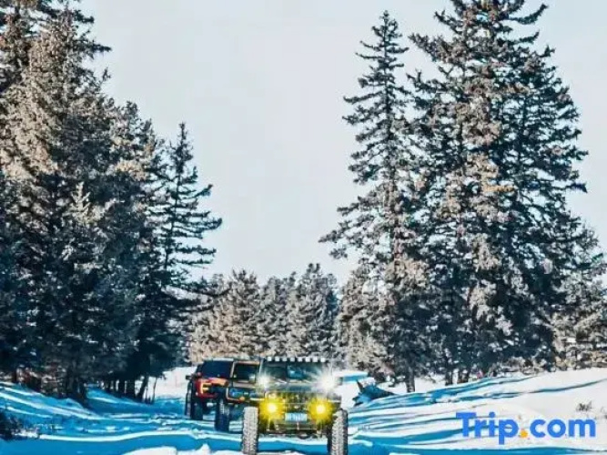 ChangBai Mountain Pine&Birch Villa
