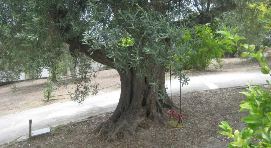 Holiday Home La Quiete