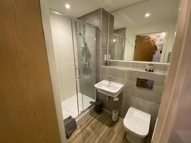 Deluxe Apartment