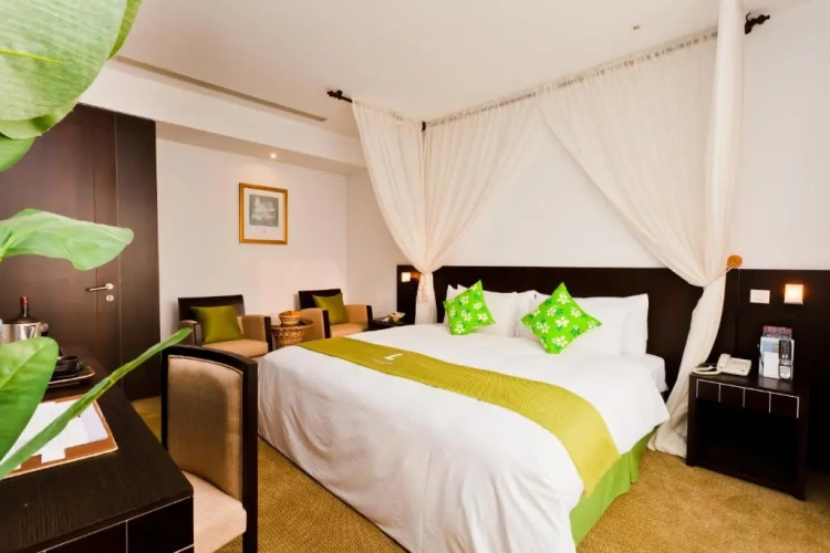Superior Suite
