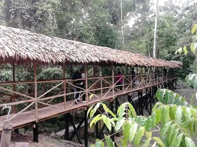 Wimba Jungle Lodge